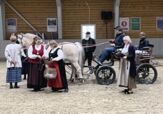 hester og vogn på sagmugg og folk i bunad